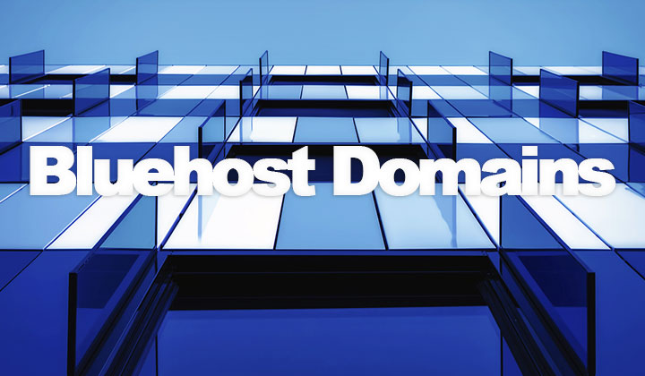 Bluehost Domains