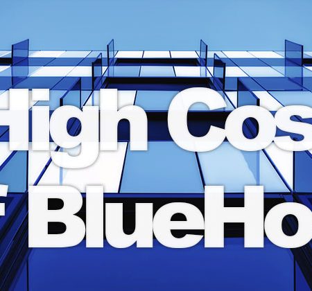 Bluehost Expenses