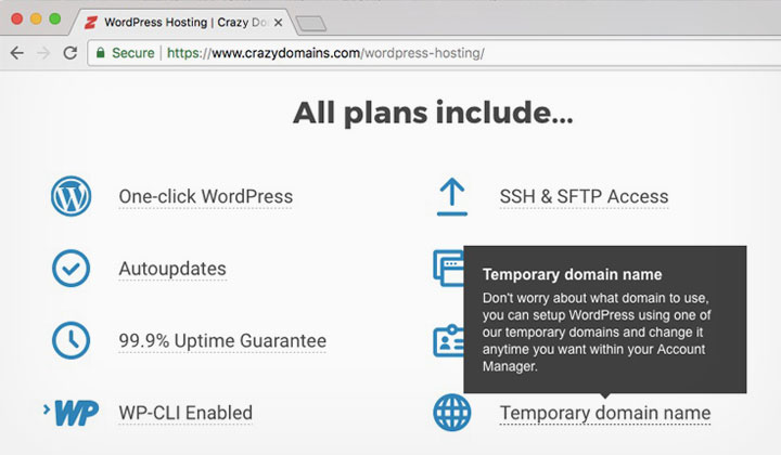 Crazy Domains WordPress Temporary Name