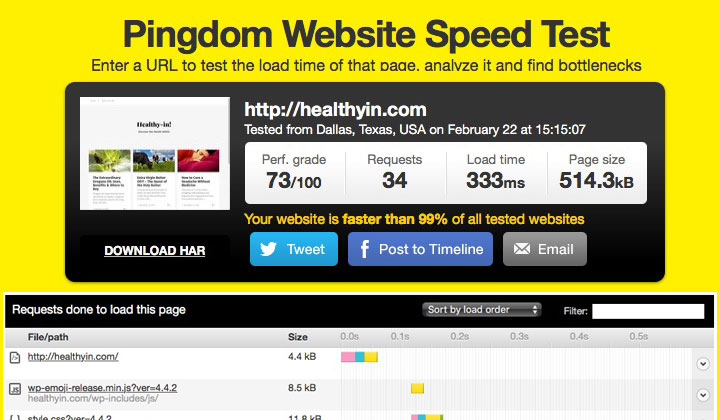 Pingdom Website Speed Test