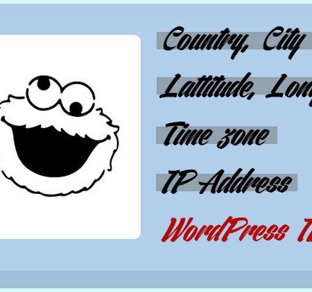 WordPress Visitor Location Information